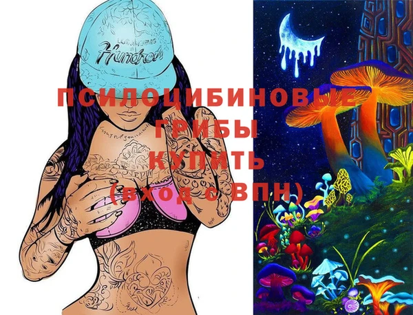 первитин Белокуриха