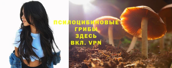 крисы Белоозёрский