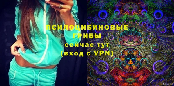крисы Белоозёрский